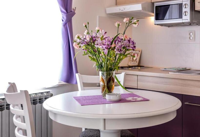 סטודיו סטנדרטי נוף לגינה, Pansion Amigos