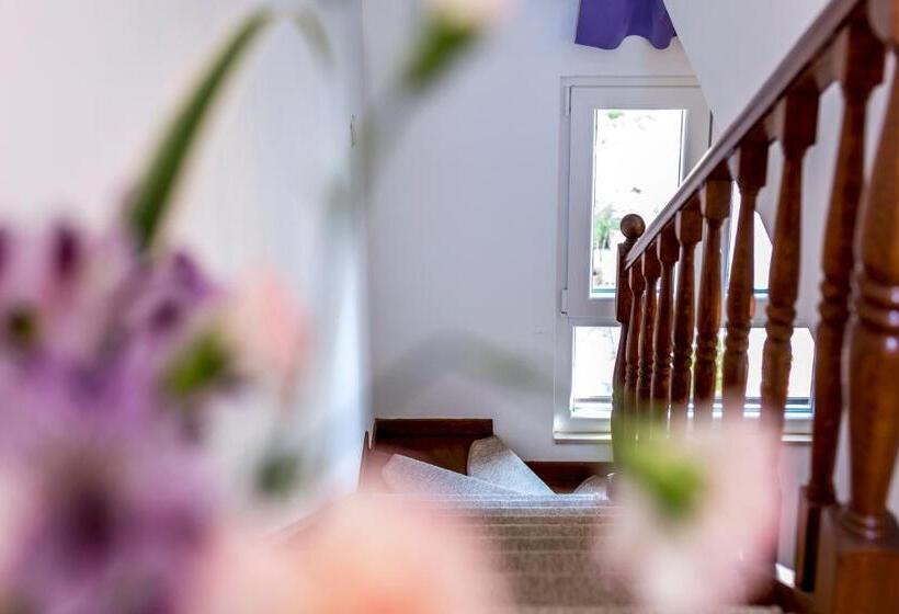 דירת חדר נוף לים, Pansion Amigos