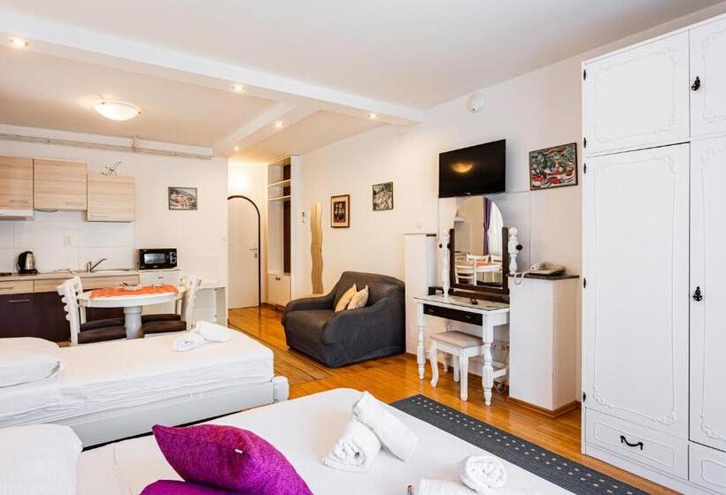 סטודיו סטנדרטי נוף לגינה, Pansion Amigos