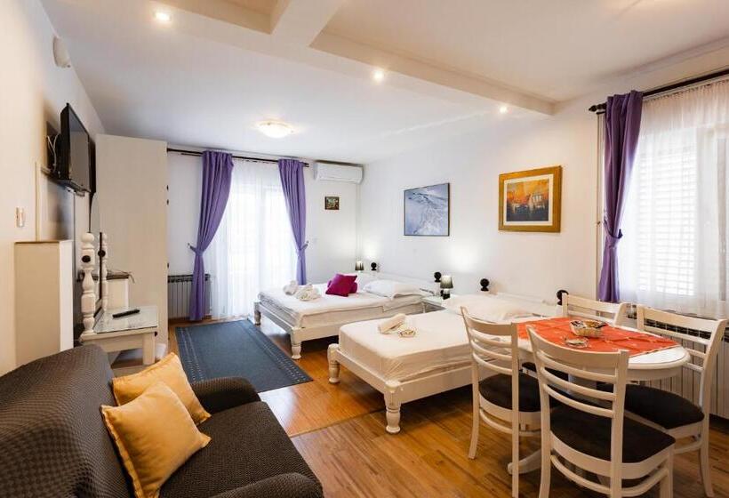 סטודיו סטנדרטי נוף לגינה, Pansion Amigos