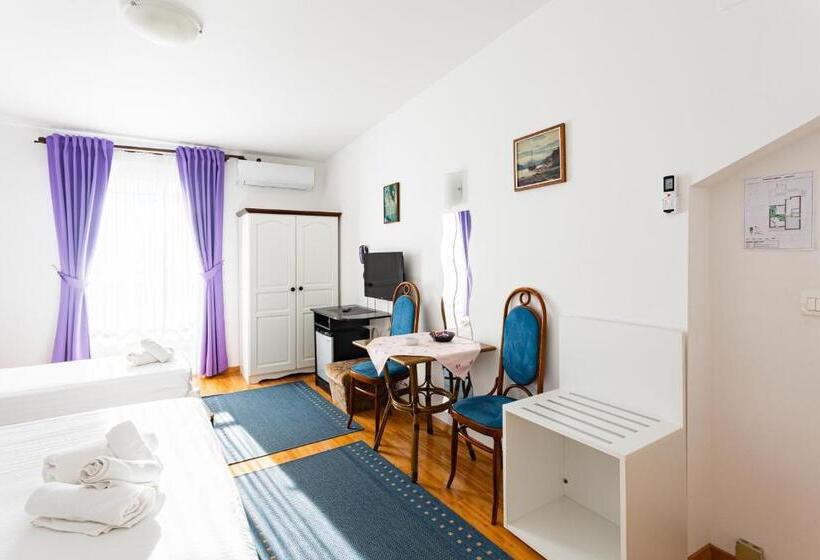 דירת חדר עם נוף לים ומרפסת, Pansion Amigos