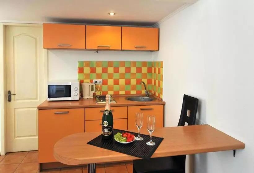 Apartament 1 Dormitor cu Balcon, Reno