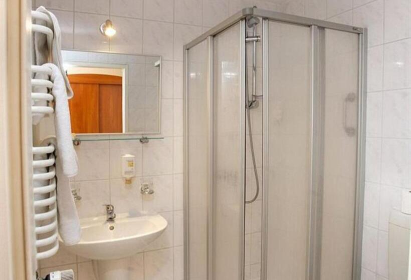 スタンダードシングルルーム, Willa Wolność