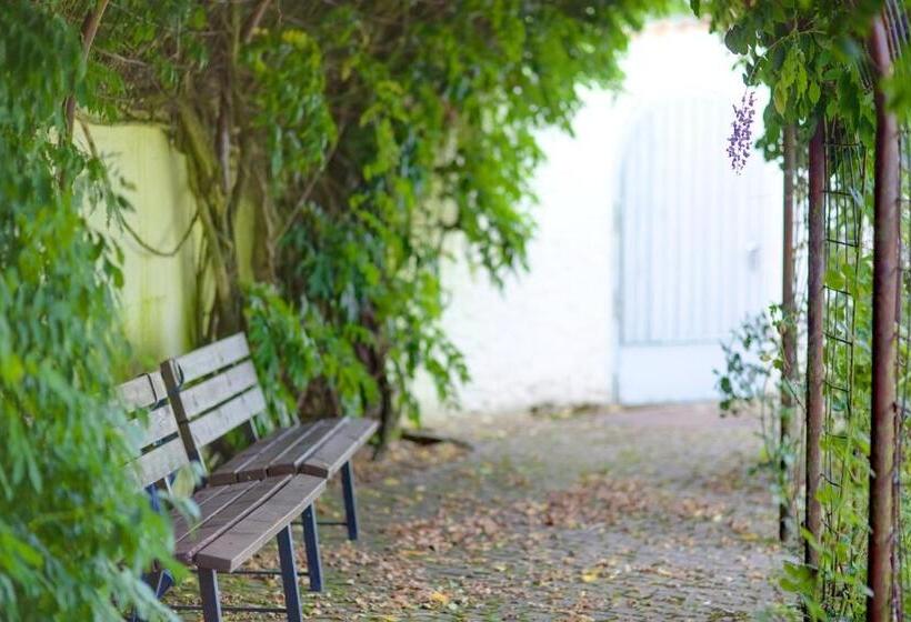 Номер Стандарт Индивидуальный Совместная Ванная, Kloster Esthal