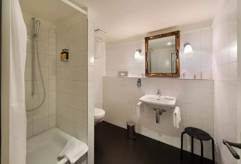 Deluxe Yhden Hengen Huone, Romantik Hotel Schwan