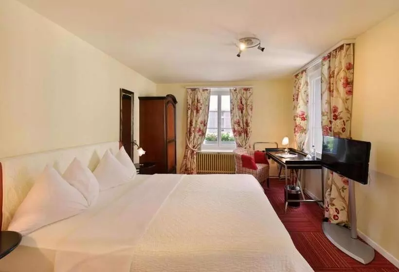 Comfort Yhden Hengen Huone, Romantik Hotel Schwan