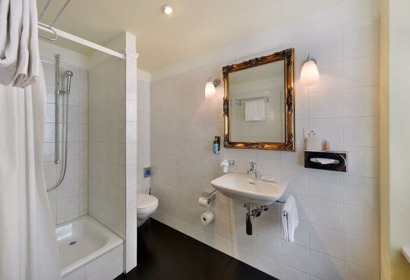 חדר סטנדרט יחיד, Romantik Hotel Schwan