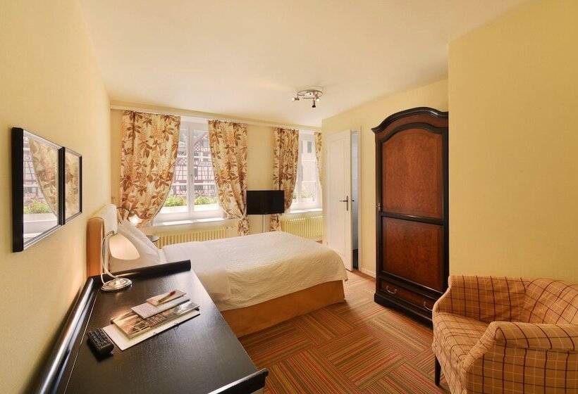 חדר סטנדרט יחיד, Romantik Hotel Schwan