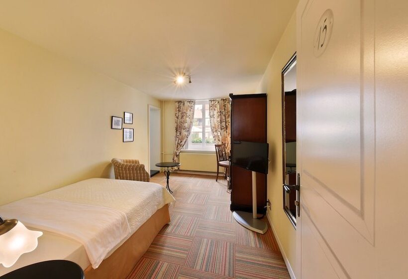 غرفة قياسية فردية, Romantik Hotel Schwan