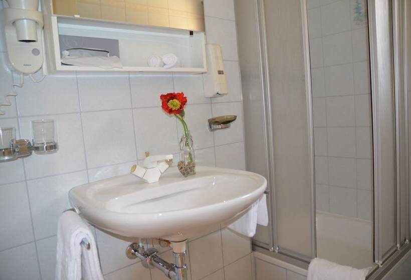 标准间, Ski In/ski Out Hotel Sport