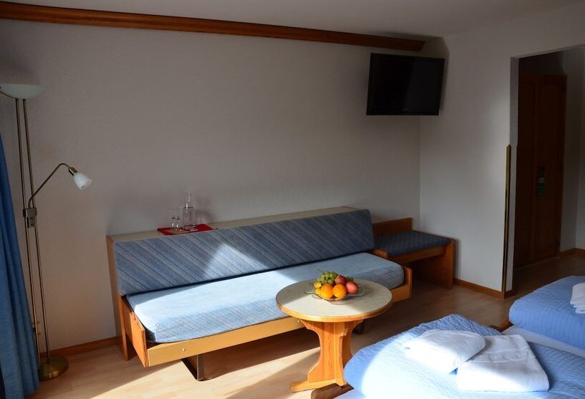 Номер Стандарт, Ski In/ski Out Hotel Sport