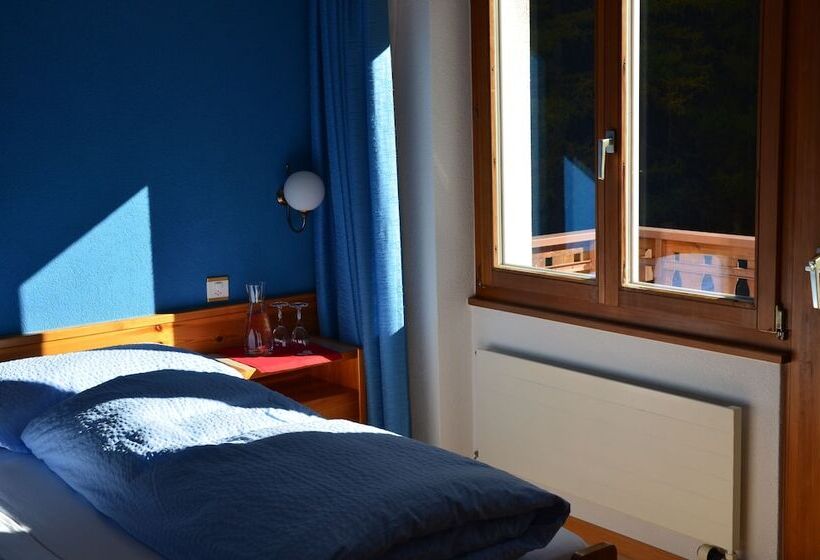 Номер Economy, Ski In/ski Out Hotel Sport