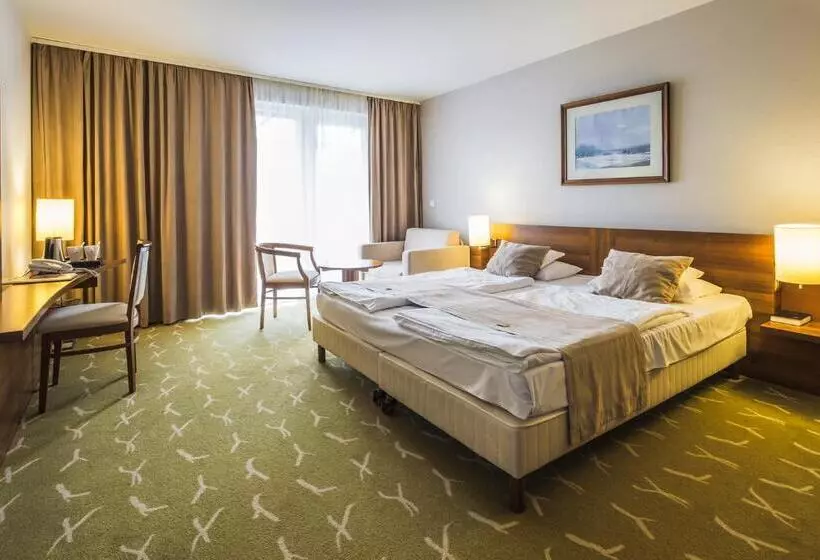 バルコニー付きデラックスルーム, Zenit Wellness Hotel Balaton