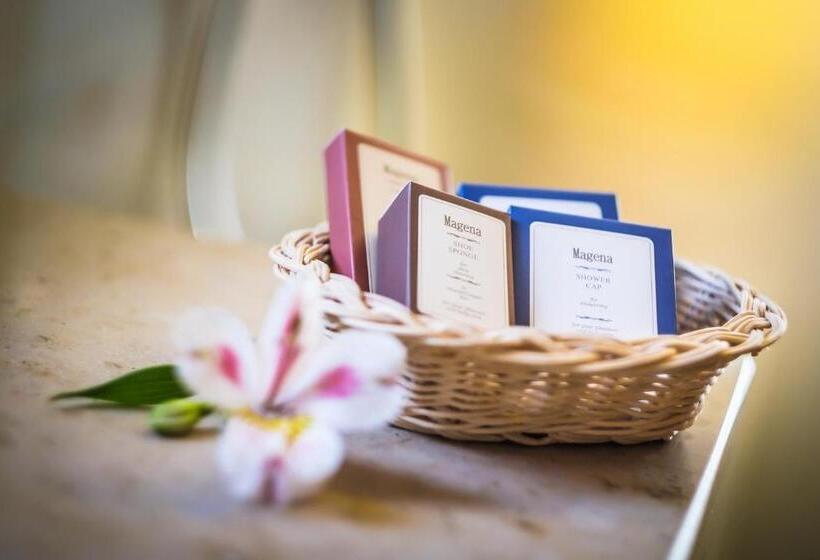 带大床的豪华间, Zenit Wellness Hotel Balaton