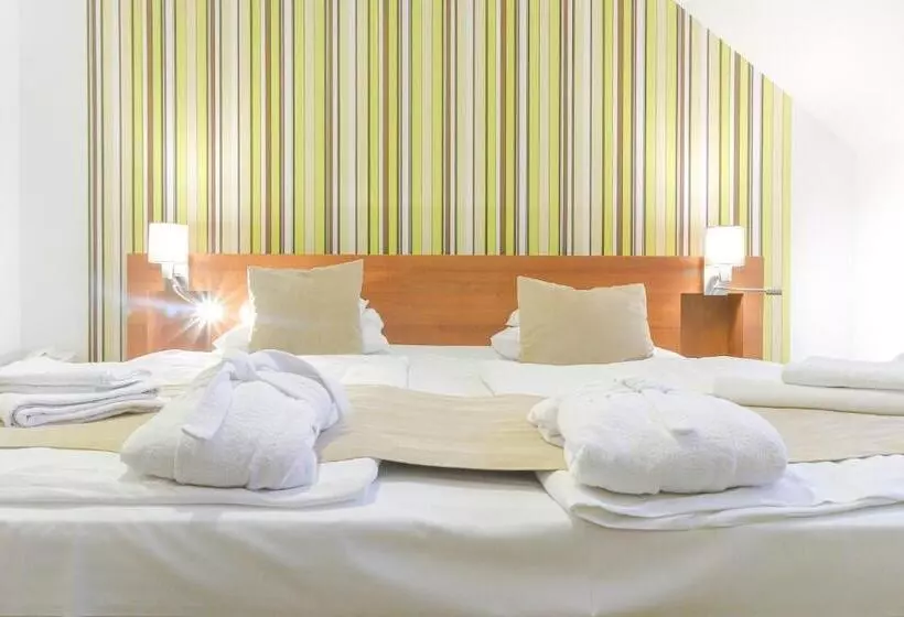 エコノミールーム, Zenit Wellness Hotel Balaton