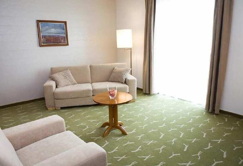 标准间, Zenit Wellness Hotel Balaton