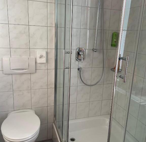 标准单人间, Landgasthof Zum Seehof