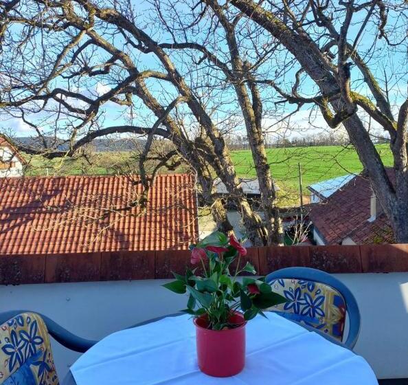 标准间带露台, Landgasthof Zum Seehof