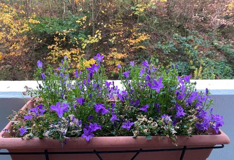 Апартаменты 1 Спальня Вид на Сад, Kurhaus Apartment King Size Bett 180x200