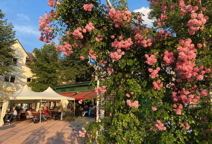 Апартаменты 1 Спальня Вид на Сад, Kurhaus Apartment King Size Bett 180x200