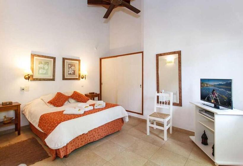 1 Szobás Superior Apartman, Cabañas La Mandrágora