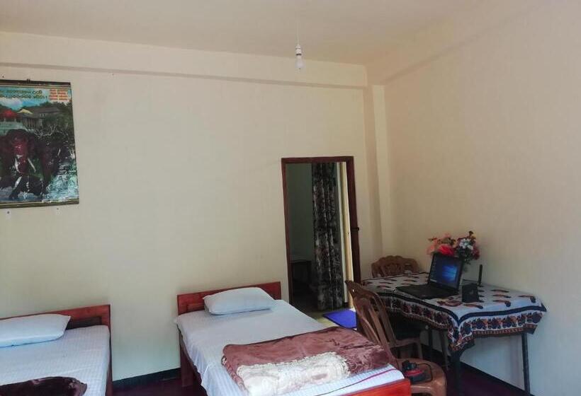 エコノミールーム, Hello Super Hostel