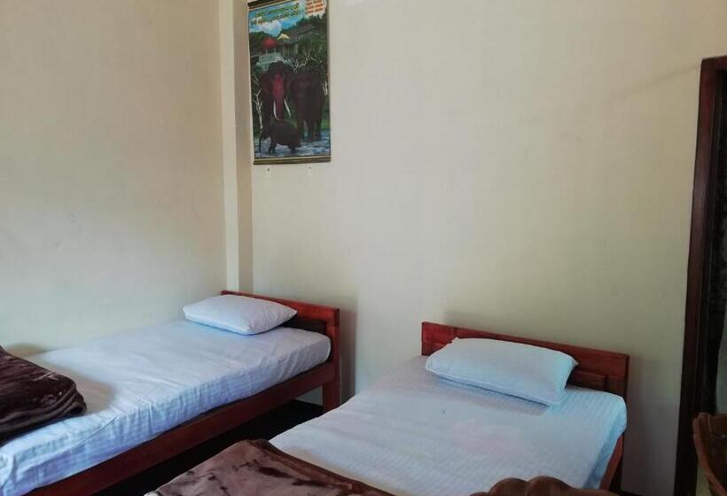 エコノミールーム, Hello Super Hostel