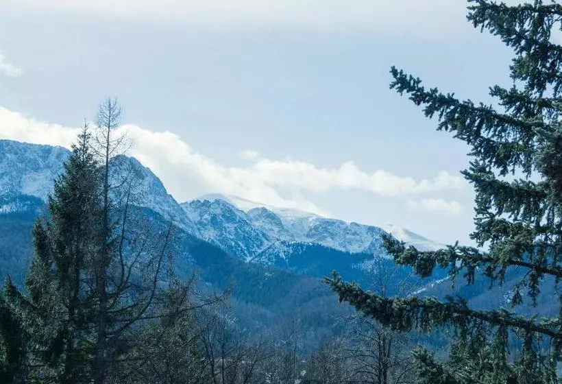 Deluxe-huoneisto 1 Makuuhuone, Aparthotel Delta Zakopane - Delta Garden