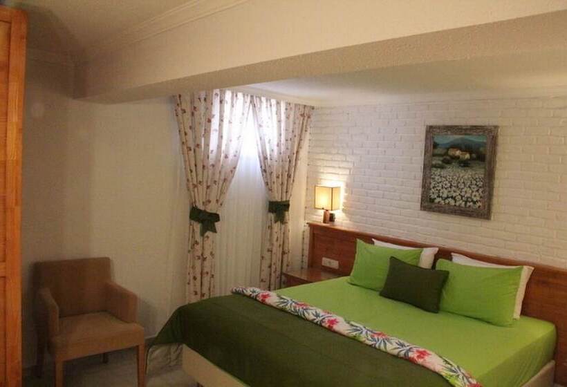 Номер Economy, Leylak Boutique Hotel & Brasserie   Boutique Class