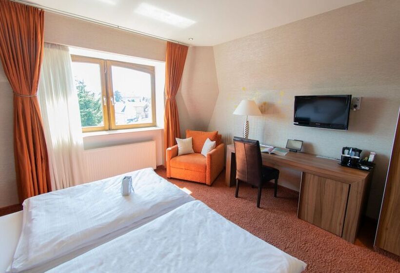 デラックスルーム, Art Hotel Braun