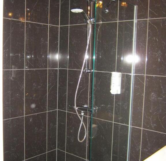 컴포트 싱글 룸, Fletcher Hotel Restaurant Dinkeloord