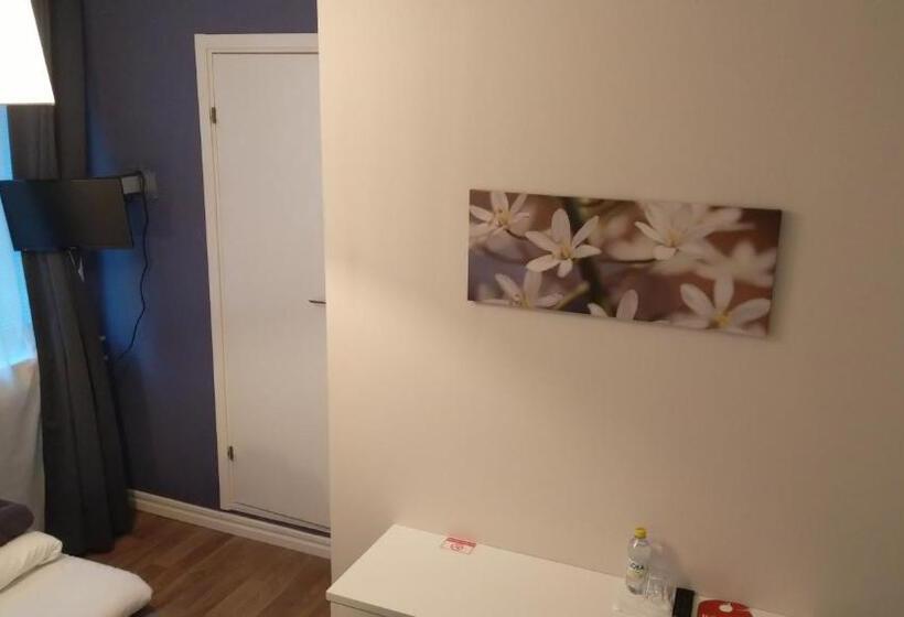 غرفة ديلوكس فردية, Charlotte / Stella