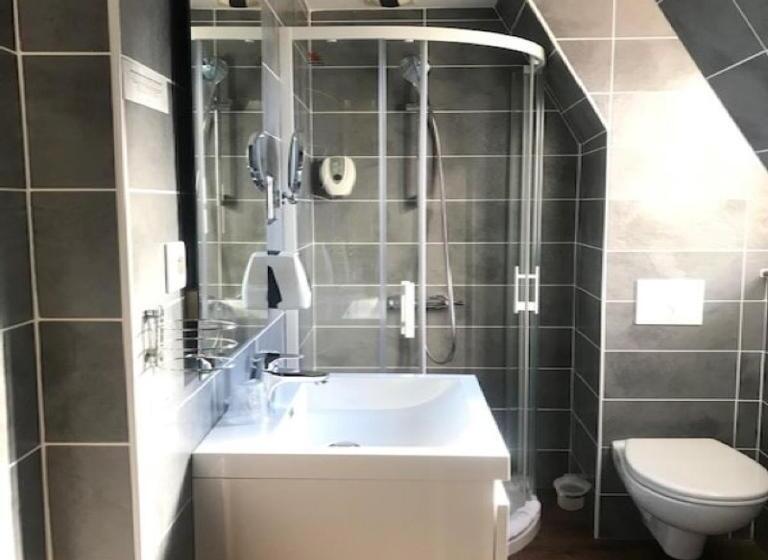 חדר סטנדרט יחיד, Logis Hôtel Restaurant Les Coudercous