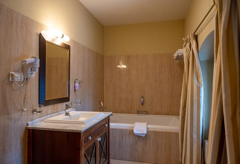 스탠다드 룸, Pałac Wojanów