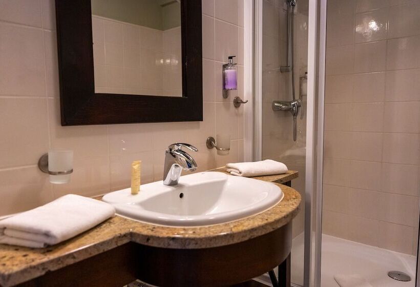 스탠다드 룸, Pałac Wojanów