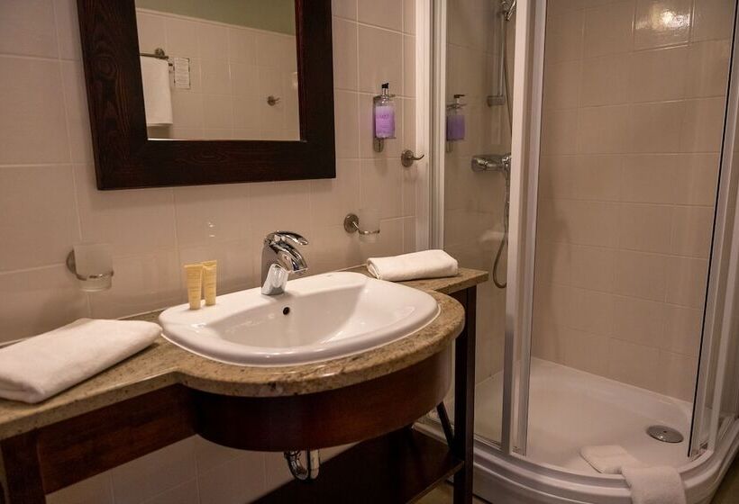 스탠다드 룸, Pałac Wojanów