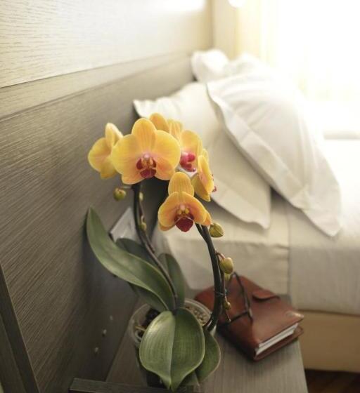 Номер Стандарт, Tirreno