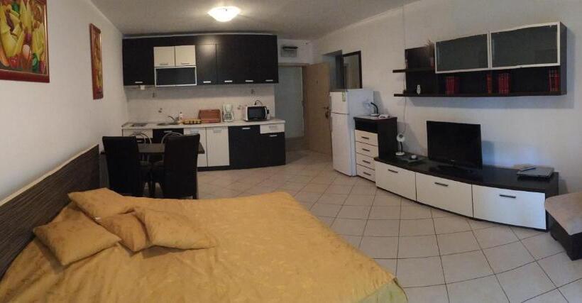 آپارتمان 1 خوابه با بالکن, Club Onix Apartments