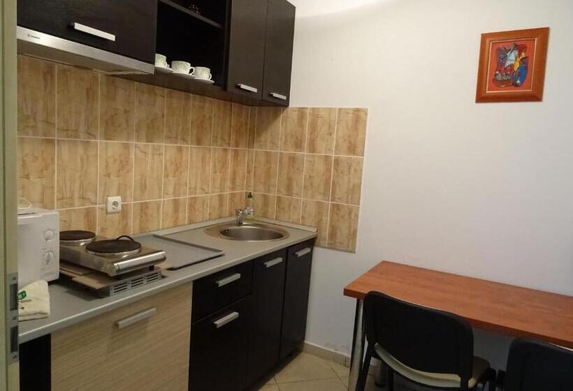 آپارتمان 2 خوابه با بالکن, Club Onix Apartments
