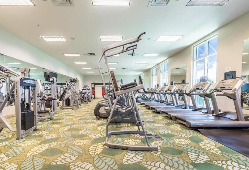 דירת שני חדרים, Palms Resort #21113 Jr. 2br