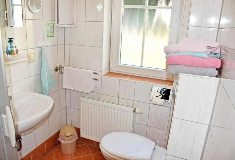 Standard-huone, Selliner Pension Am Waldrand