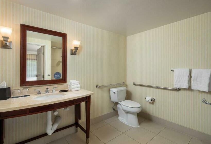 带大床的经典房间, Sheraton Carlsbad Resort & Spa