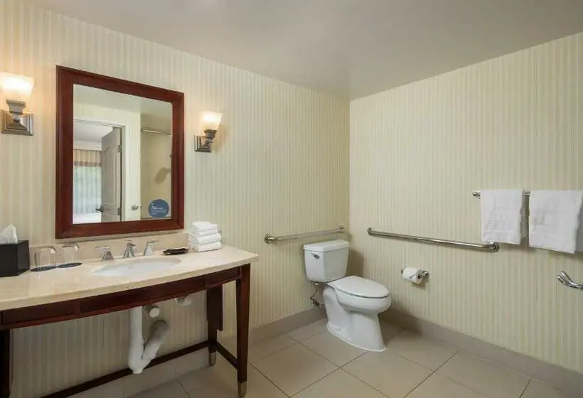 اتاق کلاسیک با تخت دونفره, Sheraton Carlsbad Resort & Spa