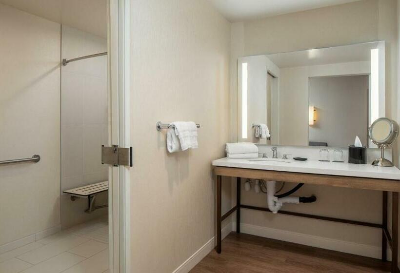 اتاق کلاسیک با تخت دونفره, Sheraton Carlsbad Resort & Spa