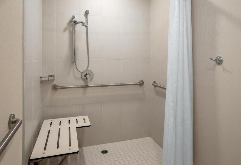 带大床的经典房间, Sheraton Carlsbad Resort & Spa