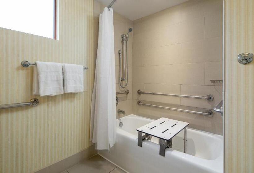 Classic room with balcony, Sheraton Carlsbad Resort & Spa