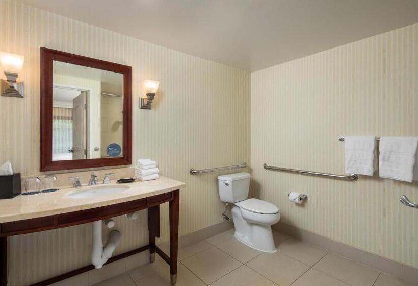Classic room with balcony, Sheraton Carlsbad Resort & Spa