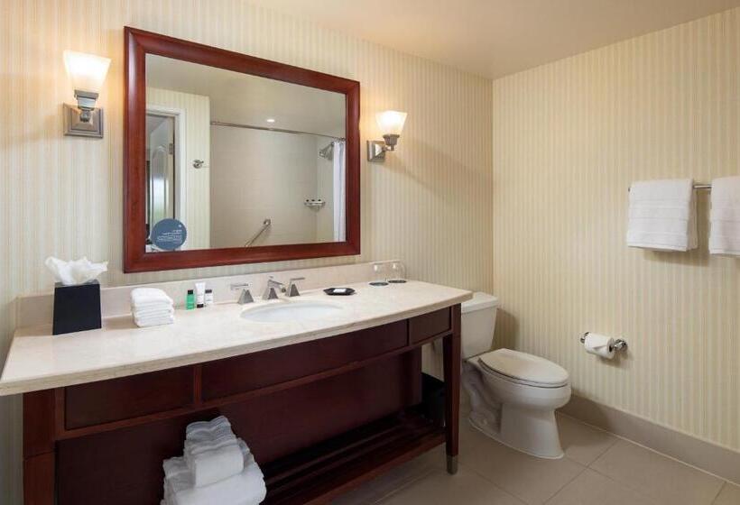 Classic room with balcony, Sheraton Carlsbad Resort & Spa