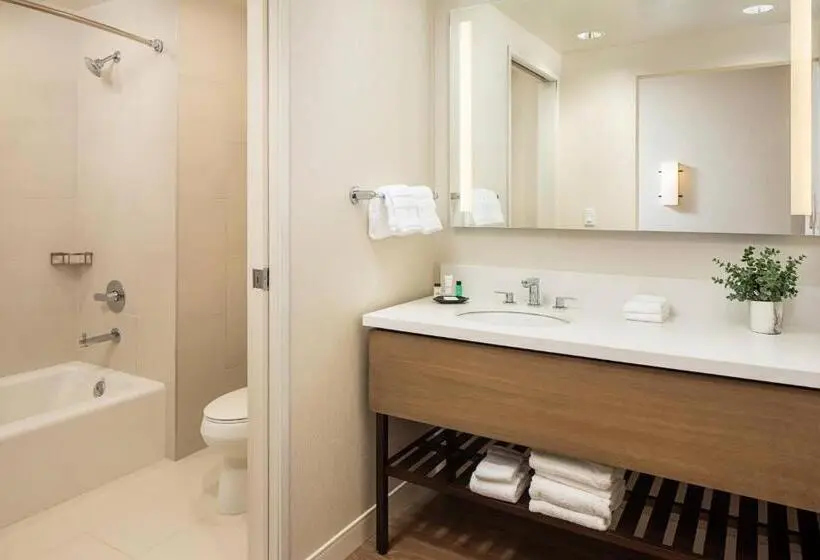 استودیوی استاندارد, Sheraton Carlsbad Resort & Spa