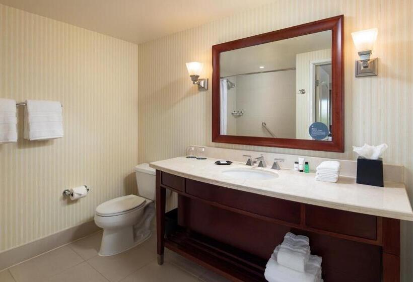 带大床的豪华间, Sheraton Carlsbad Resort & Spa